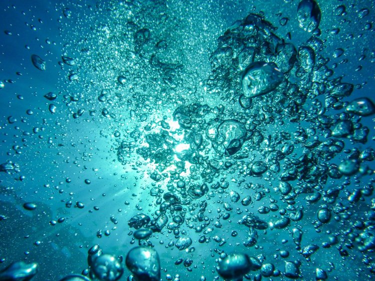 traditional owner reef protection