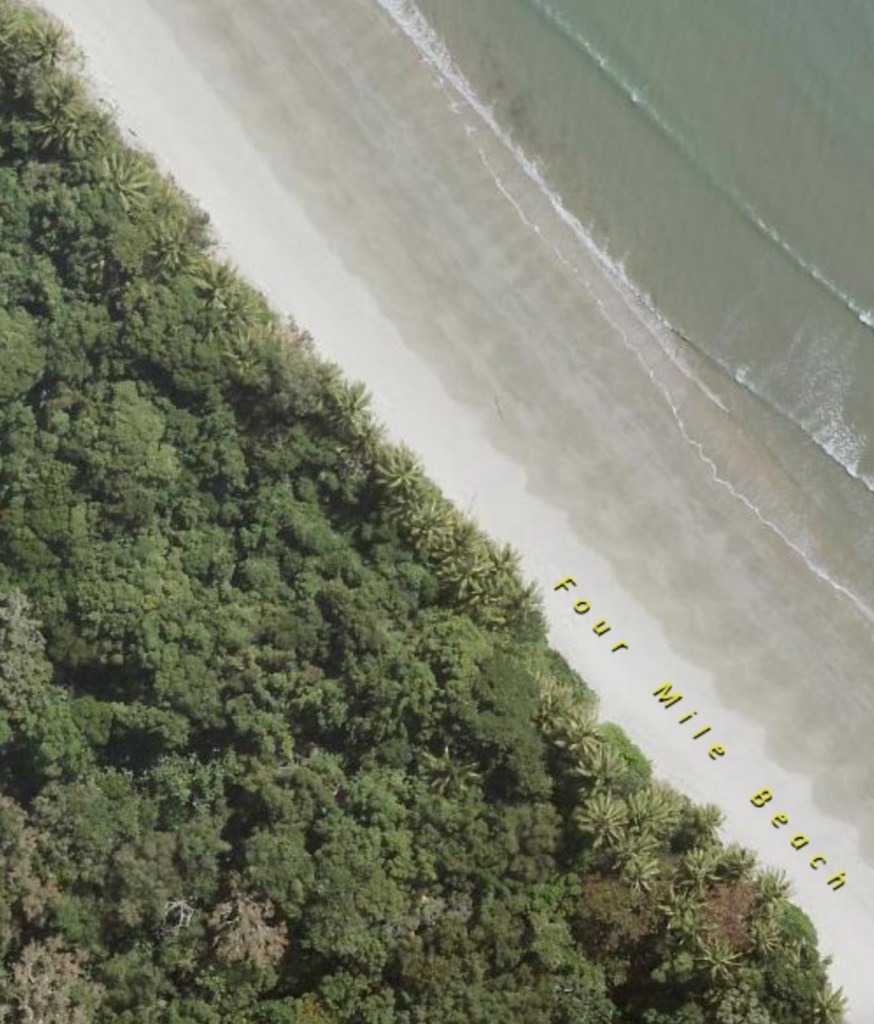 Erosion undermining and washing away trees in the littoral rainforest on a section of the beach from the mouth of the Mowbray River to Yule Point. 
