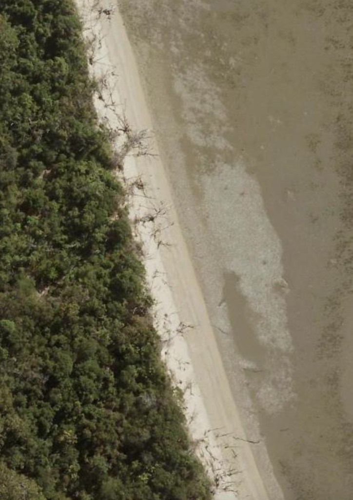 Satellite image of Four Mile Beach. The line of coconuts along the littoral edge can be clearly seen. There is no erosion. 
