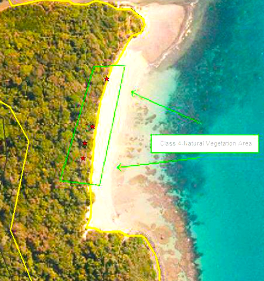 There are very few coconuts on the littoral edge of the forests from Emmagen Beach to just before Cowie Beach as this section is amongst the least disturbed examples of littoral forest in the Wet Tropics.