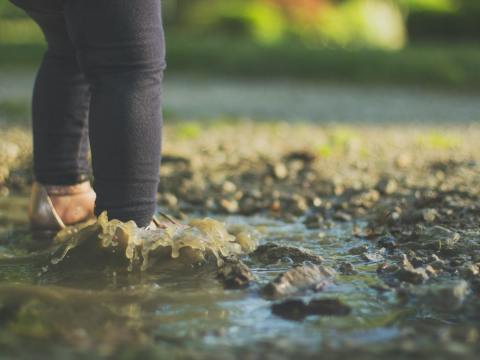Health Warning After Soil and Water-Borne Disease Outbreaks in FNQ water-borne disease outbreak