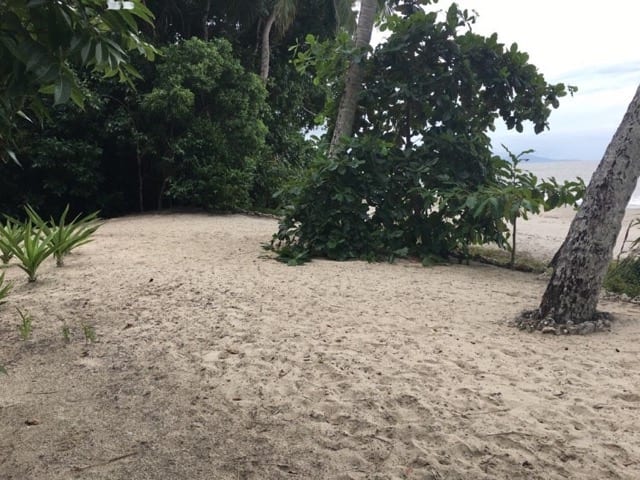 DSSG Concerns For Local Foreshore Management douglas foreshore