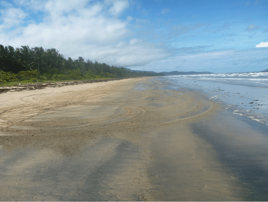 vehicle use at wonga beach
