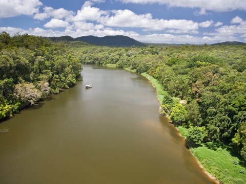 Opinion / Douglas Shire Council and the Daintree Ferry Fiasco