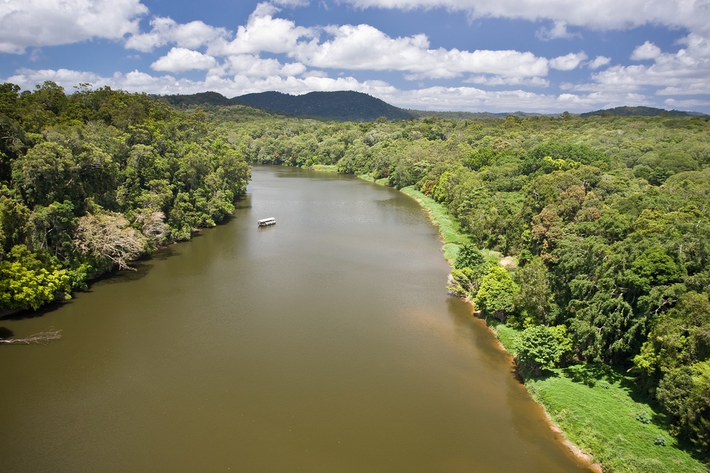 Opinion / Douglas Shire Council and the Daintree Ferry Fiasco