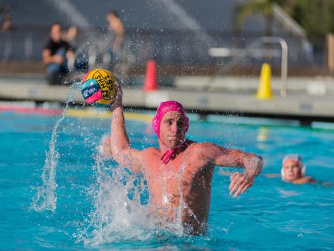 What’s On Around the Douglas Shire This Weekend?