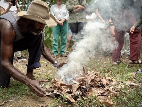 Unique Daintree Lowlands Lot Earns Nature Refuge Status Kurranji Bubu renaming
