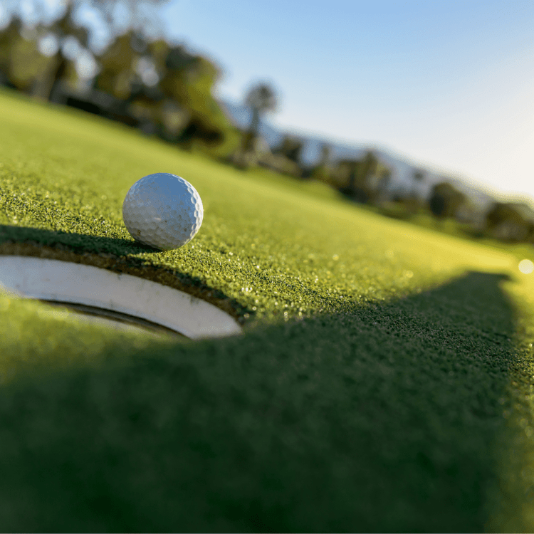 What’s On Around the Douglas Shire This Weekend?