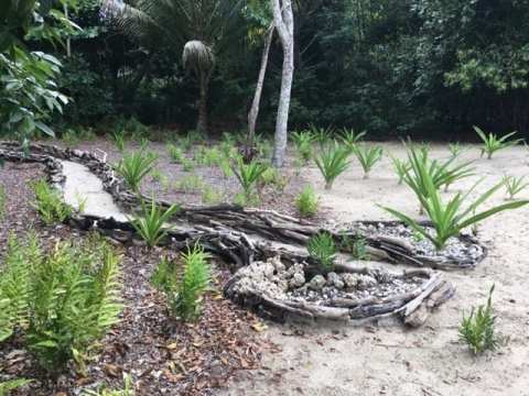 dssg response to dsc foreshore management