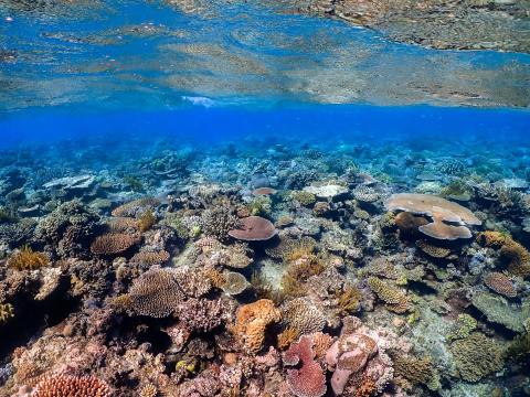 NEWS IN 5 / Wednesday 23 June 2021