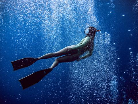 ACTION / ‘The Reef: Stalked’ heads into production