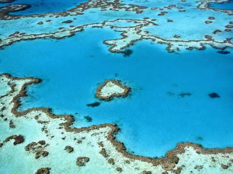 unesco great barrier reef danger