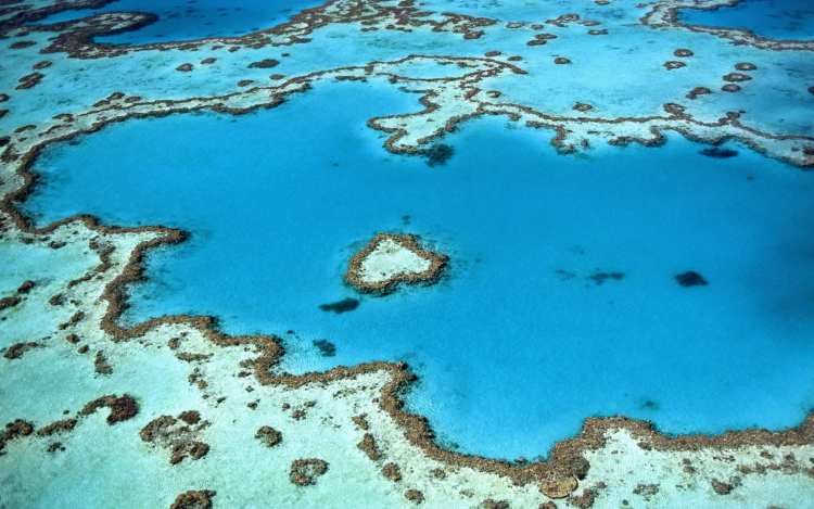 UNESCO Recommends the Great Barrier Reef be Declared World Heritage in Danger unesco great barrier reef danger