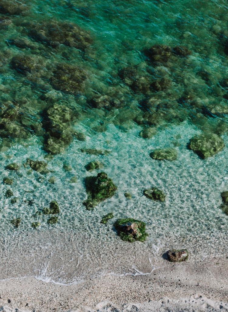 Open Letter / The Reef Is In Danger. Pretending That It Is Not, Helps Nobody.