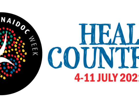 NAIDOC Week / Bigger, Brighter and Better for 2021 naidoc week douglas shire 2021