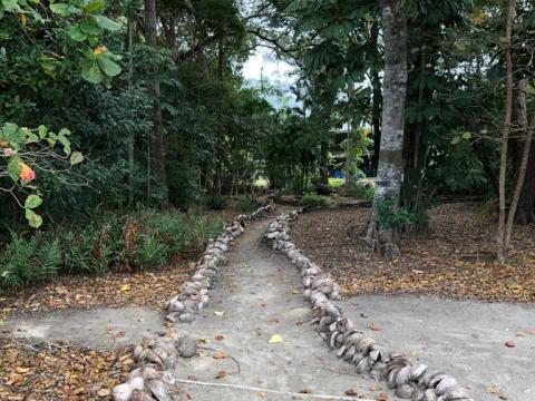 Letter to the Editor / Four Mile Beach Foreshore Devastation