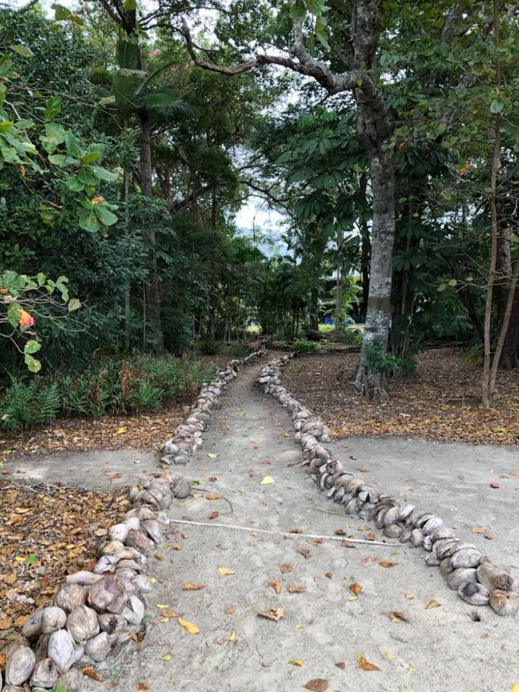 Letter to the Editor / Four Mile Beach Foreshore Devastation