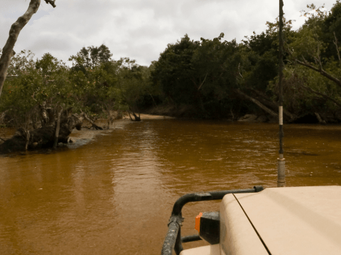 Police Beat / Search Continues for Man Missing in Remote Cape York, FNQ