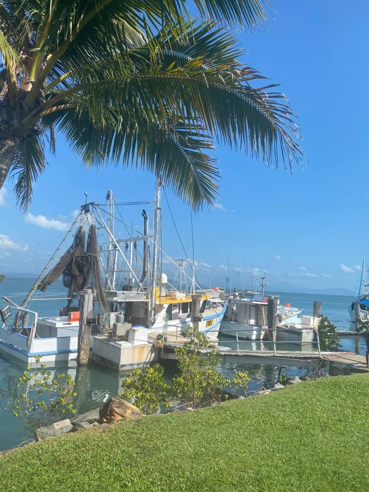 $1.4 Million on the Line for New Queensland Fishing Grants