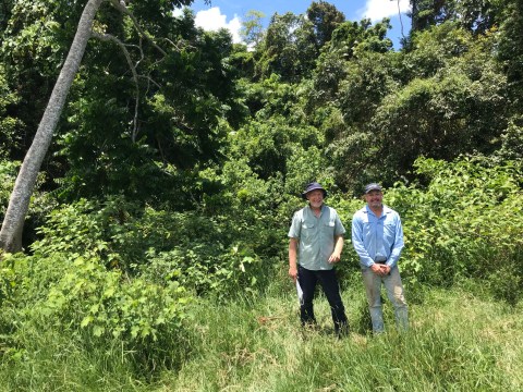 Daintree Landholders and Douglas Shire Council Work to Connect and Expand Forests