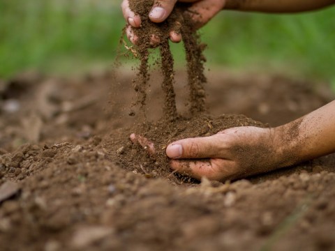 Douglas News Editor Speaks at Glasgow COP26 Science Day on Soil Health