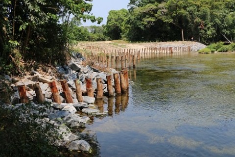 Pile fields installed to fix Mossman River flood damage