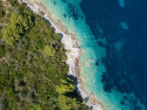 Scientists Call for a National Approach to Marine and Coastal Restoration