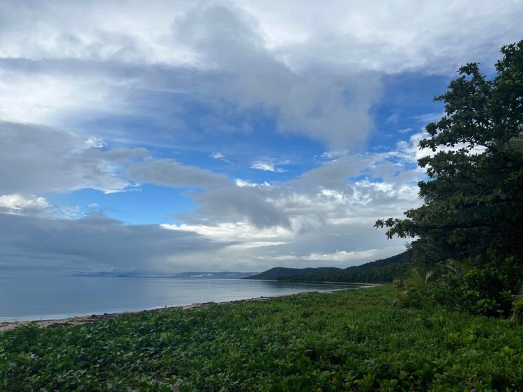 COUNCIL NEWS IN 5 / Thursday 19 January 2023