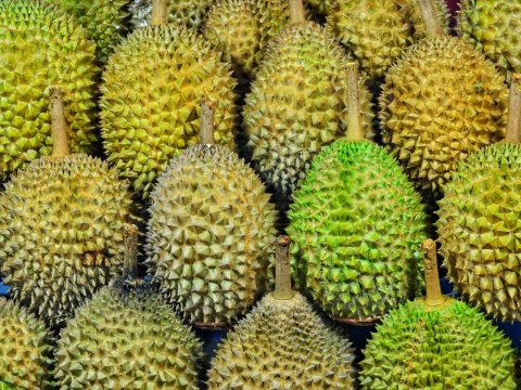 durian tropical fruit port douglas