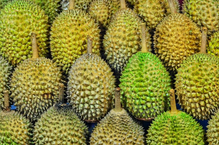 durian tropical fruit port douglas