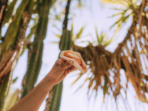 person holding a vegan tacos