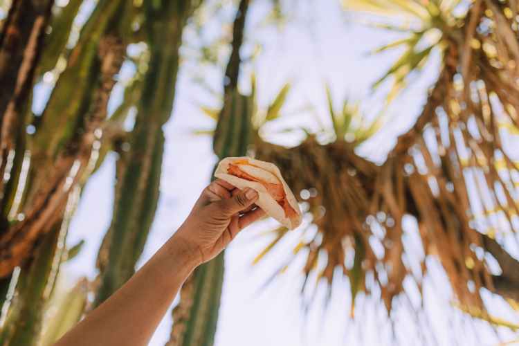 person holding a vegan tacos