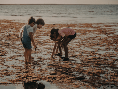 How to have informed and respectful conversations about Indigenous issues like the Voice the voice conversations