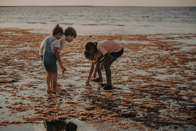 How to have informed and respectful conversations about Indigenous issues like the Voice the voice conversations