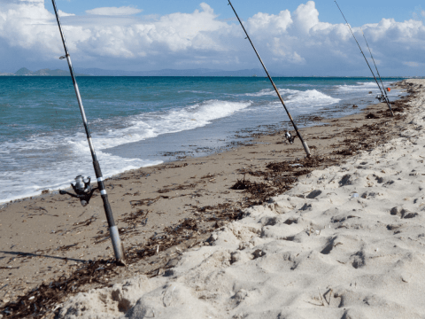 OPINION / Fishing for Votes douglas shire recreational fishing trail