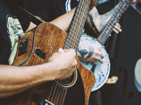 savannah in the round