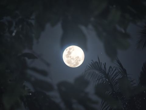 Douglas Shire Week/End Guide