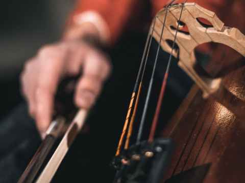 person playing stringed instrument